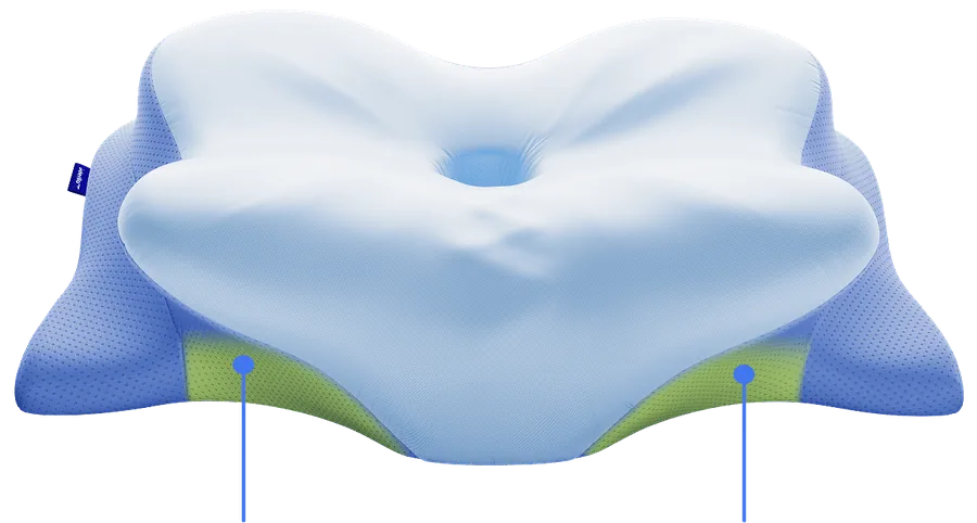 Shoulder arch highlighted on the pillow