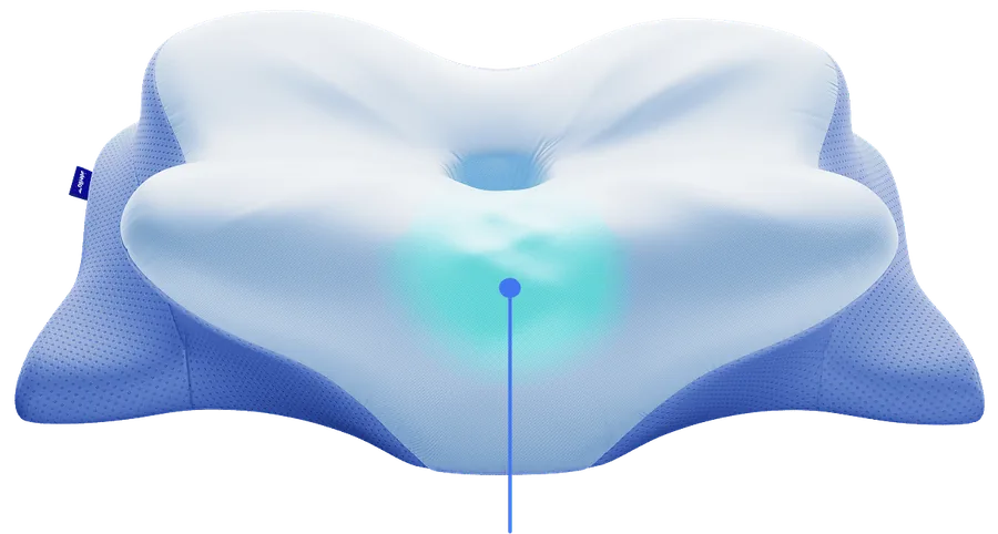 Central core and chin rest highlighted on the pillow